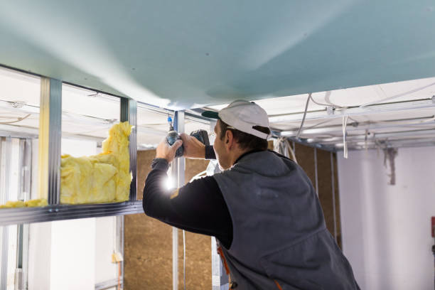 Best Geographic-Specific Insulation Services in Melcher Dallas, IA